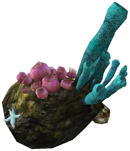 proc_searock_02