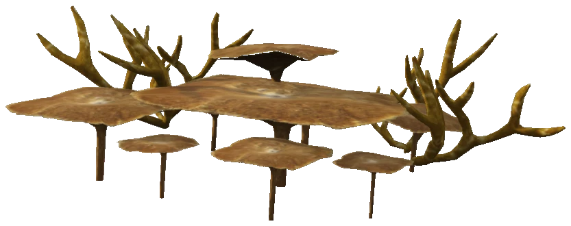 proc_searock_03
