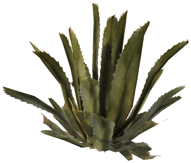 prop_agave_01