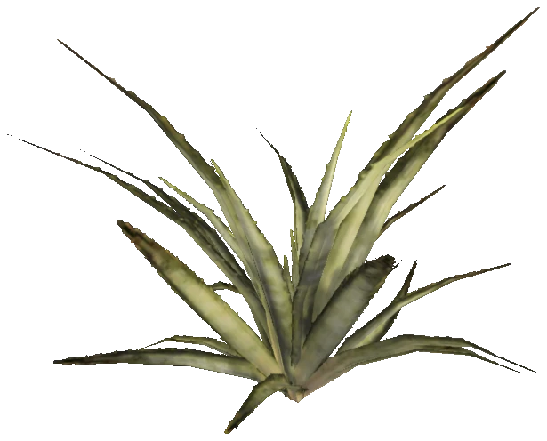 prop_aloevera_01