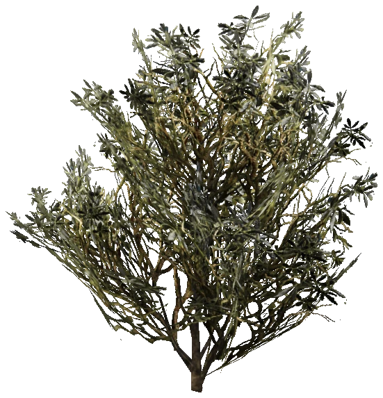 prop_am_box_wood_01