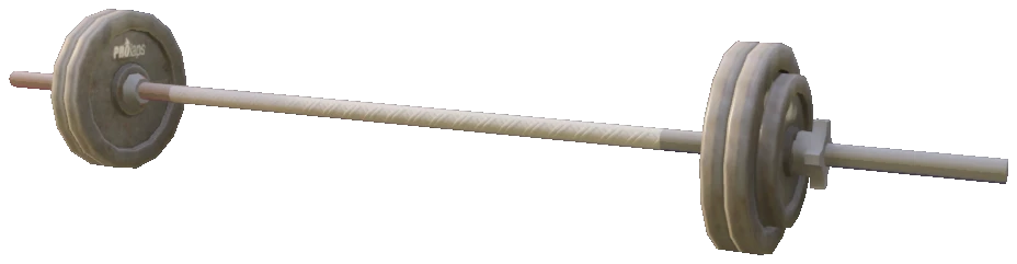 prop_barbell_100kg