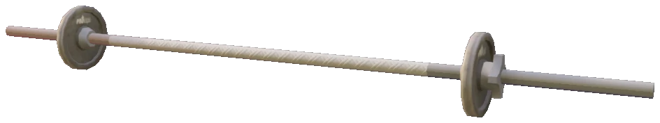 prop_barbell_10kg