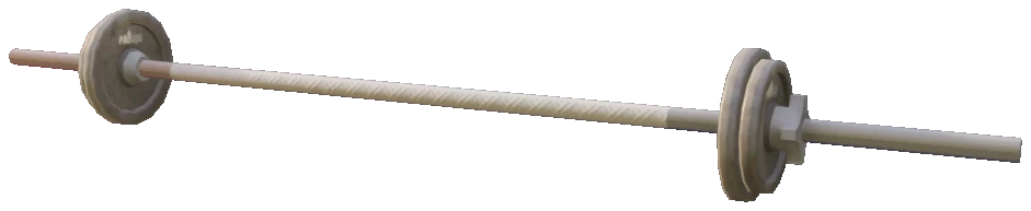 prop_barbell_30kg