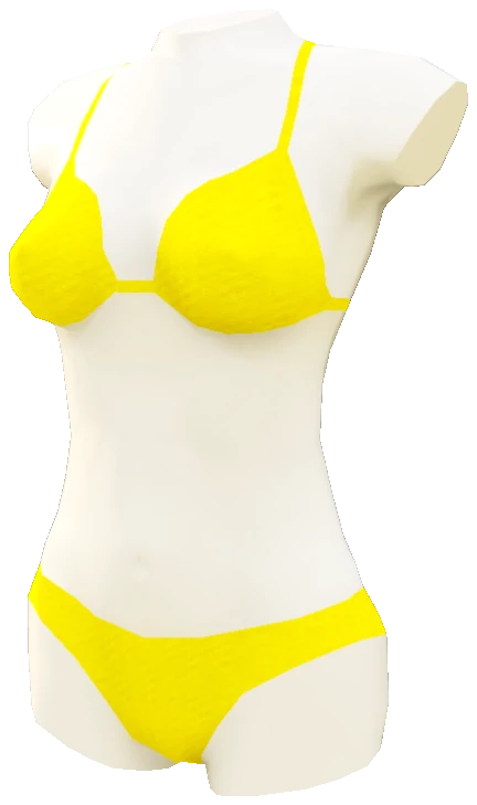 prop_bikini_disp_05
