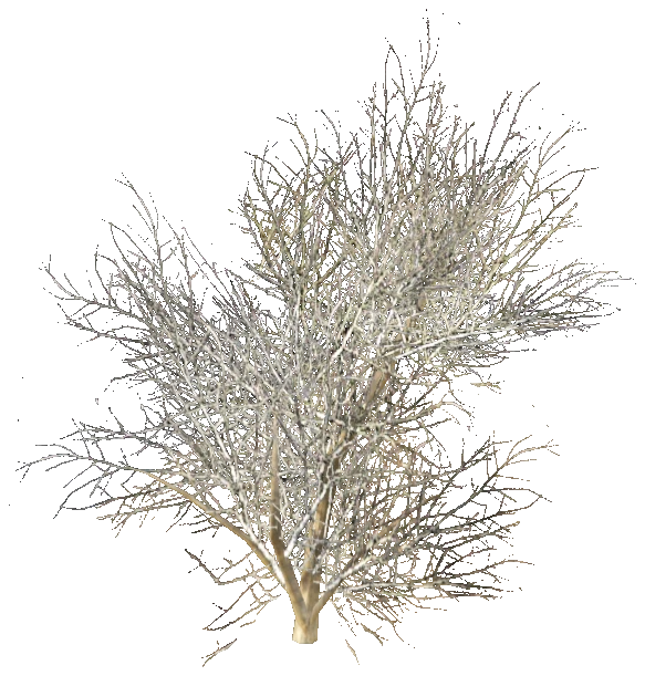 prop_bush_dead_02