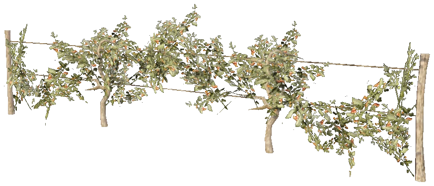 prop_bush_grape_01