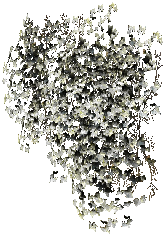 prop_bush_ivy_01_l