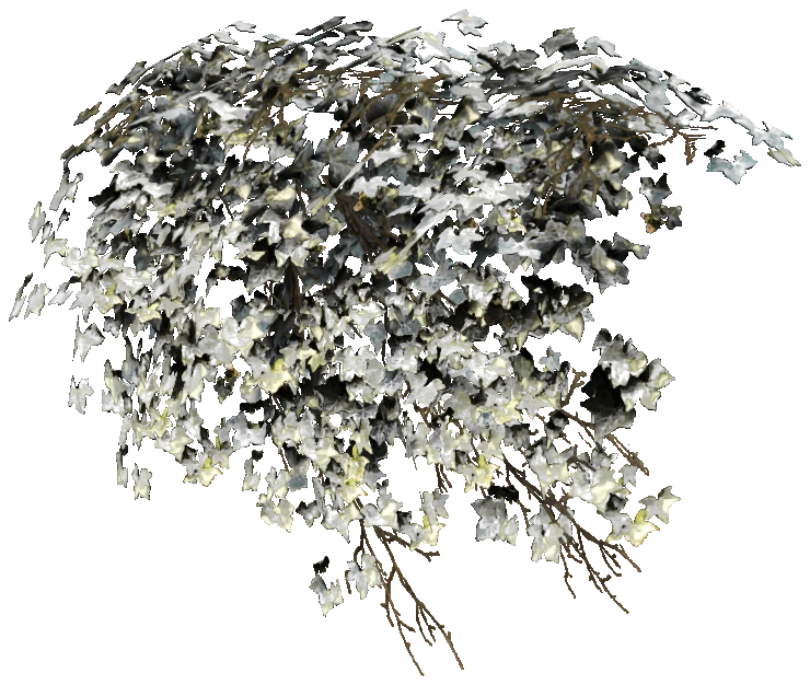 prop_bush_ivy_01_top
