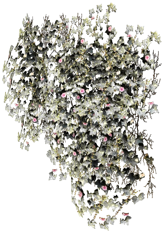 prop_bush_ivy_02_l