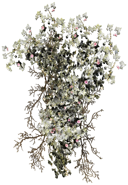 prop_bush_ivy_02_pot