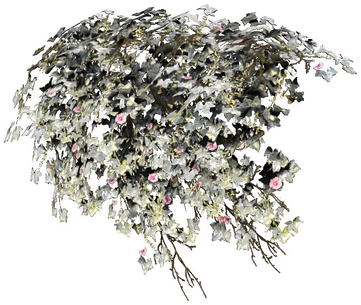 prop_bush_ivy_02_top