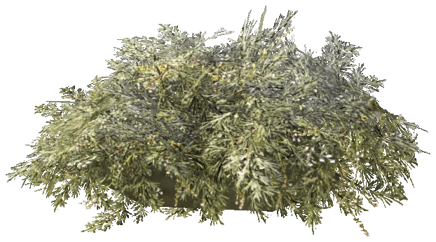 prop_bush_lrg_01