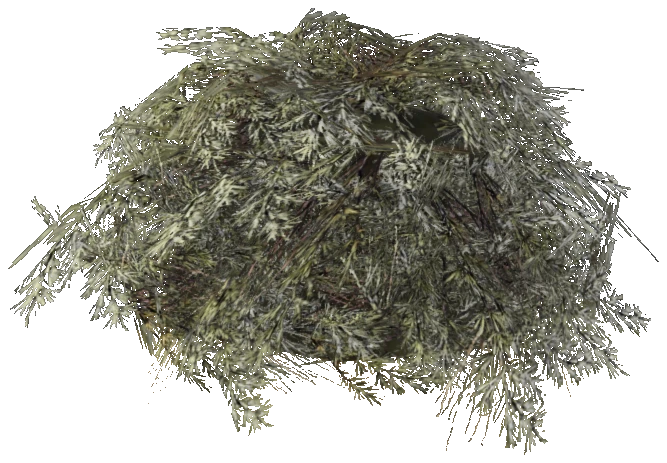 prop_bush_lrg_01c_cr