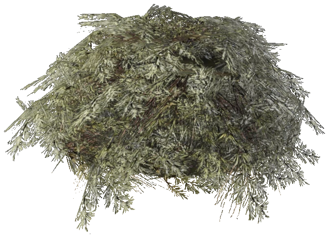prop_bush_lrg_01c