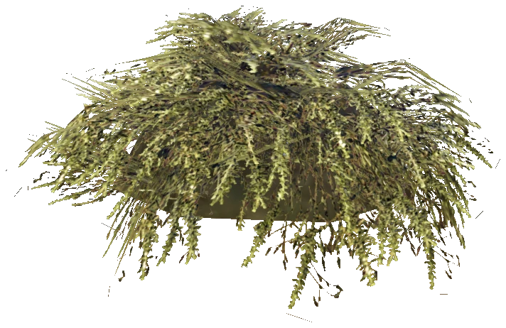 prop_bush_lrg_01e_cr