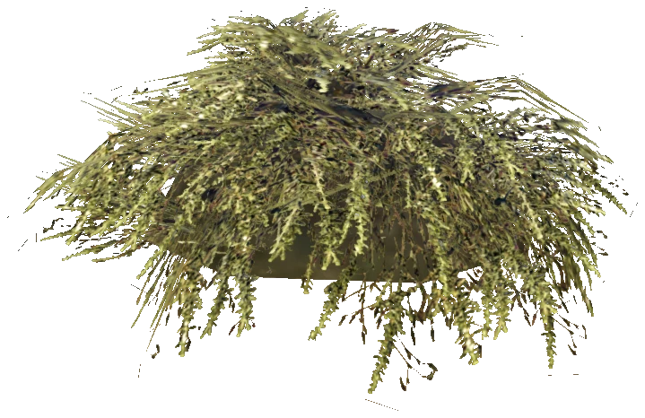 prop_bush_lrg_01e_cr2