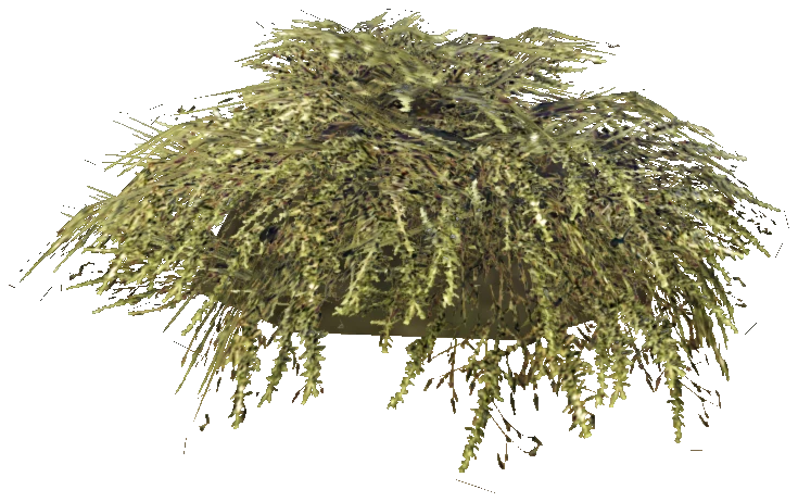 prop_bush_lrg_01e