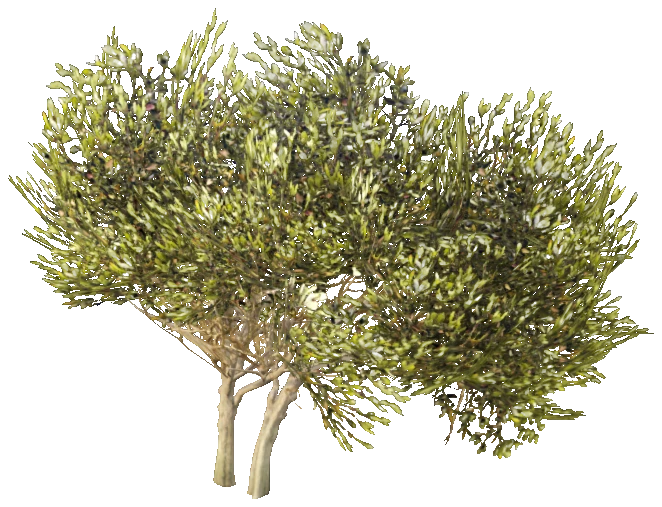 prop_bush_lrg_04b