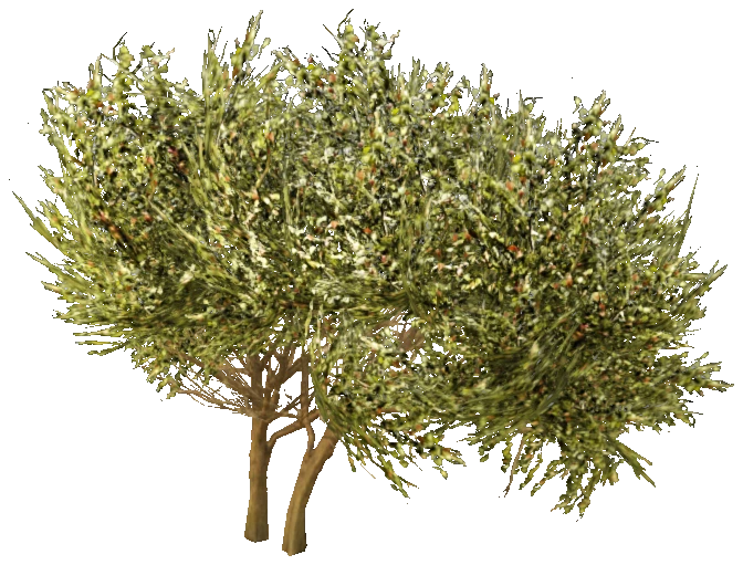 prop_bush_lrg_04c