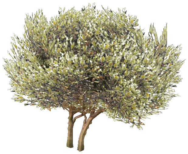 prop_bush_lrg_04d