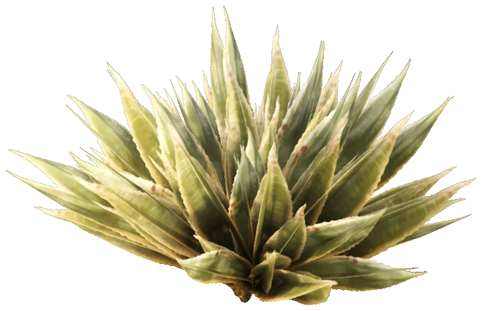 prop_bush_med_02