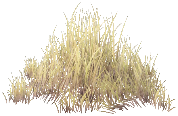 prop_bush_med_05