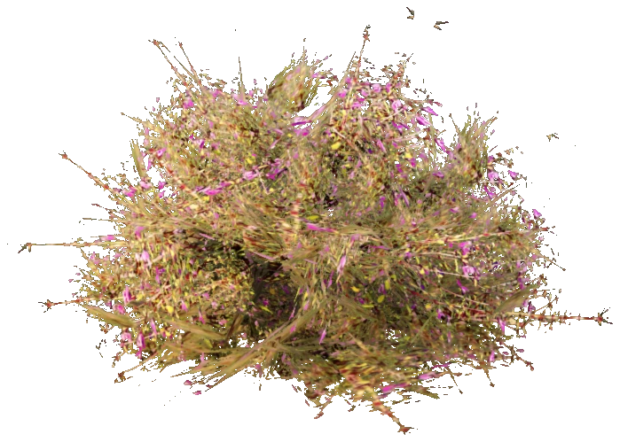 prop_bush_med_06