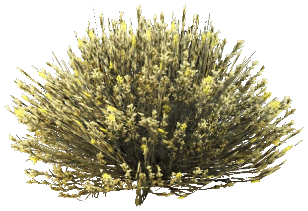 prop_bush_med_07