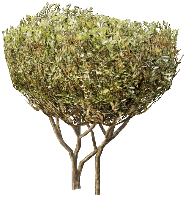 prop_bush_neat_01