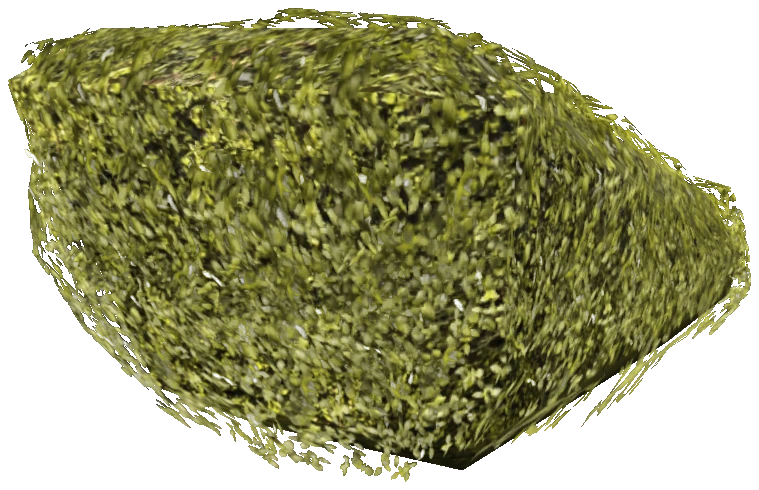 prop_bush_neat_03