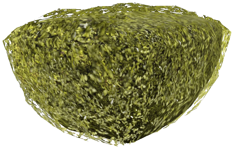 prop_bush_neat_04
