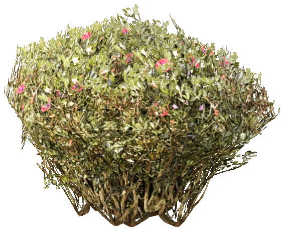 prop_bush_neat_05