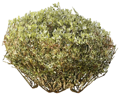 prop_bush_neat_07