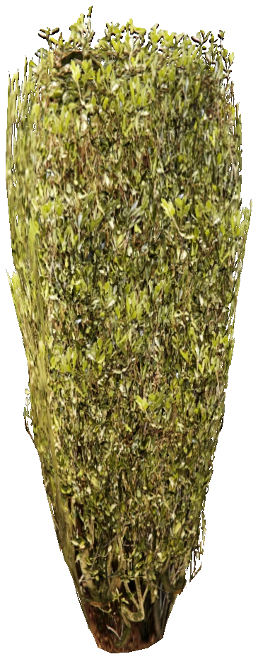prop_bush_neat_08