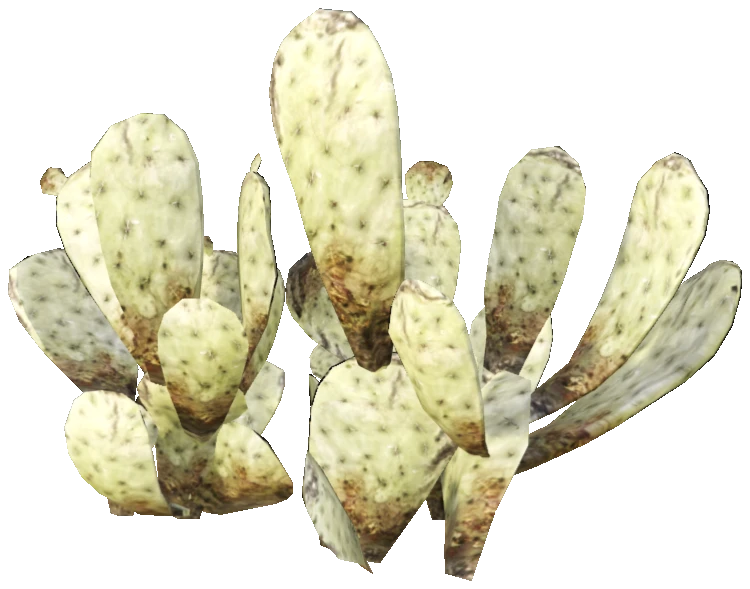 prop_cactus_02