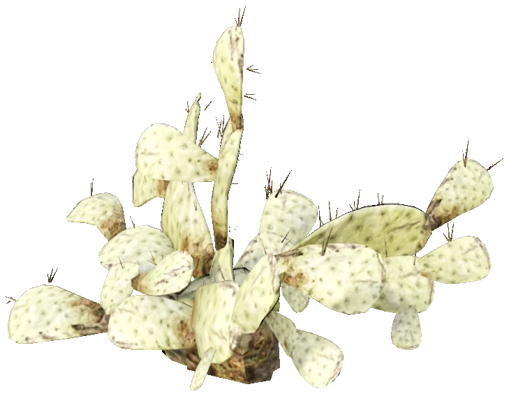 prop_cactus_03