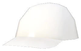 prop_cap_01b