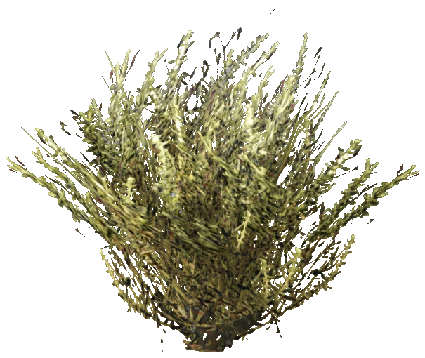prop_cat_tail_01