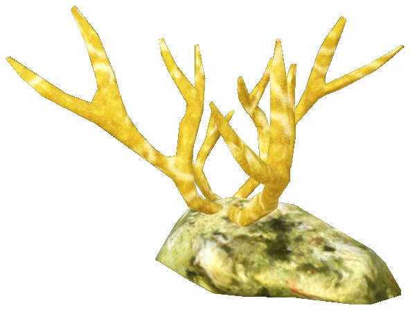 prop_coral_01