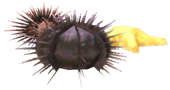 prop_coral_02