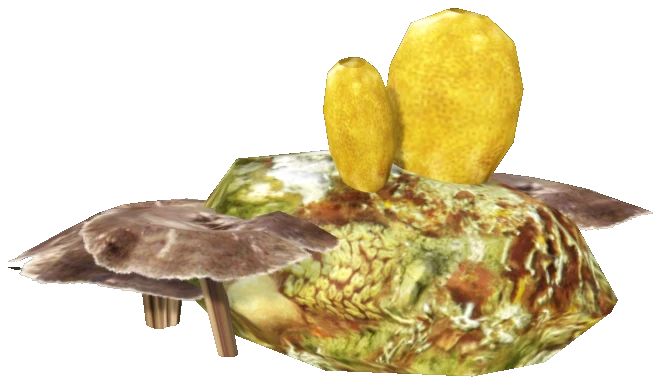 prop_coral_03