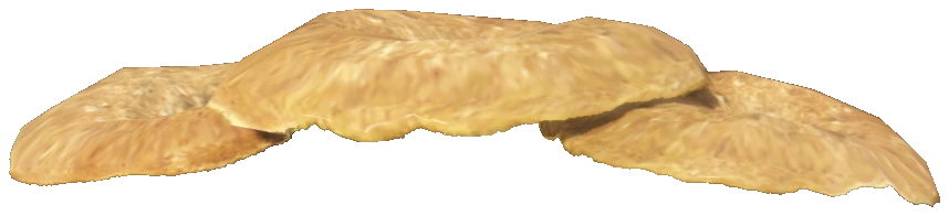 prop_coral_flat_02