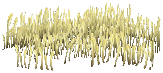 prop_coral_grass_01