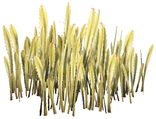 prop_coral_grass_02