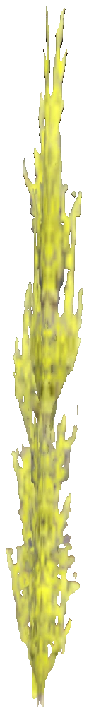 prop_coral_kelp_03_l1