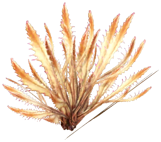 prop_coral_pillar_02