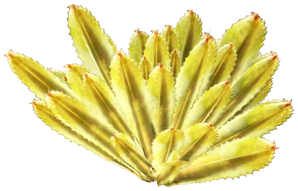 prop_coral_spikey_01