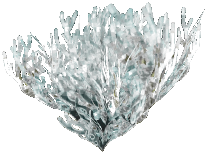 prop_coral_sweed_02