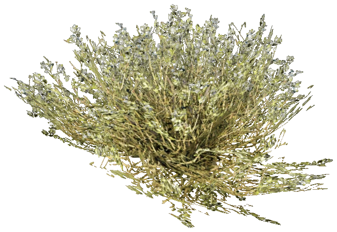 prop_creosote_b_01